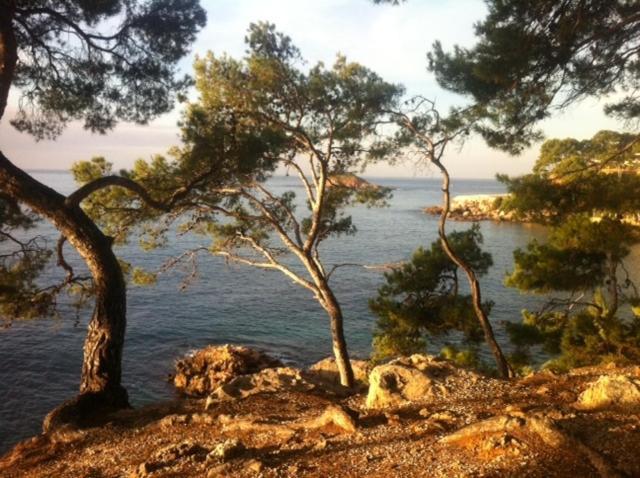 Le Hameau De La Crique De L'Anglaise Bandol Exteriör bild